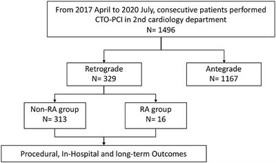 Safety and Feasibility of Rotational Atherectomy for Retrograde Recanalization of Chronically Occluded Coronary Arteries